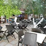 Ceyf Türkeli