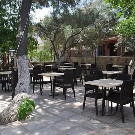 Ceyf 2*