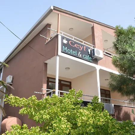 Ceyf Türkeli